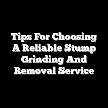 Tips For Choosing A Reliable Stump Grinding And Removal Service