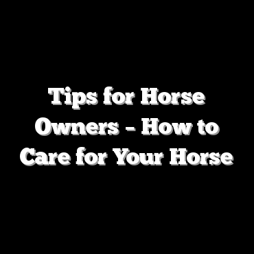Tips for Horse Owners – How to Care for Your Horse