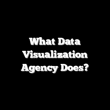 What Data Visualization Agency Does?