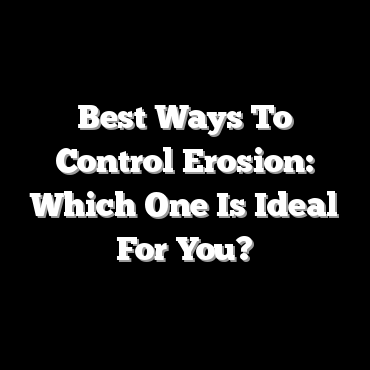 Best Ways To Control Erosion: Which One Is Ideal For You?